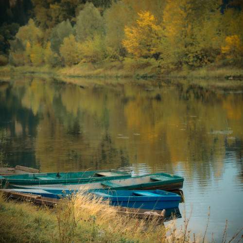 Photo #10397350