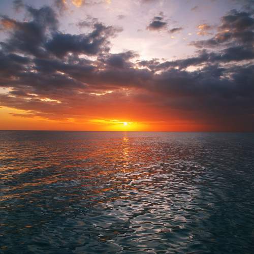 Photo #10397517