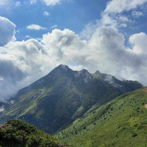 Photo #10397665