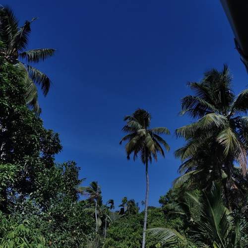 Photo #10397827