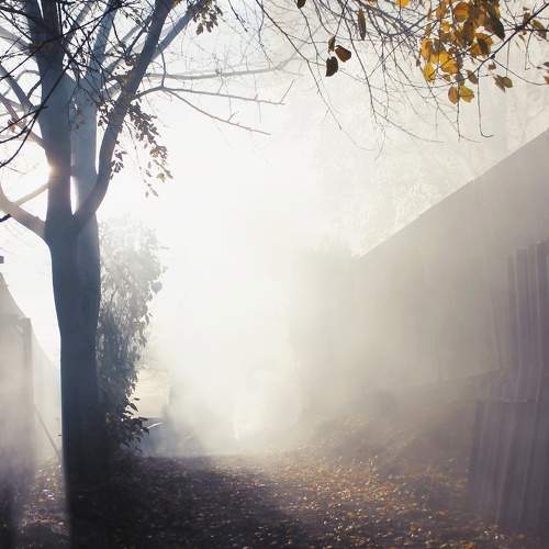 Photo #10397877