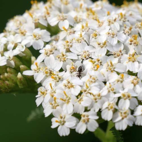 Photo #10398494