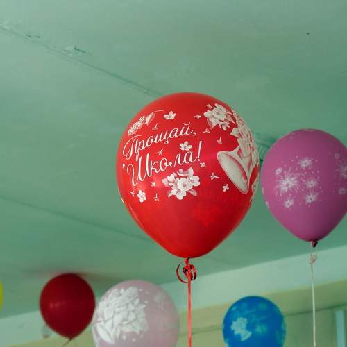 Photo #10398496