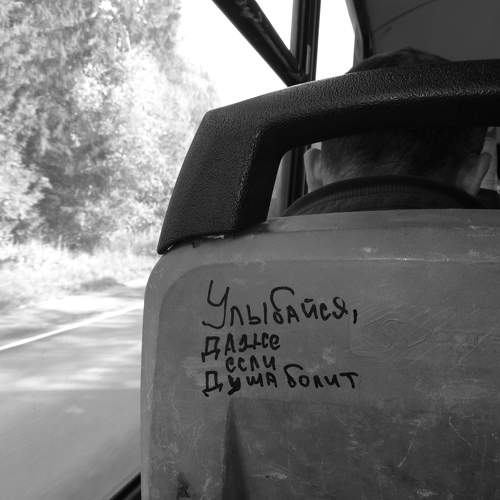 Photo #10398646