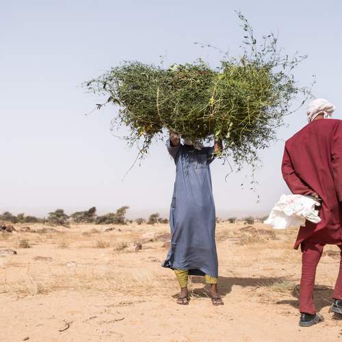 Mauritania on the road