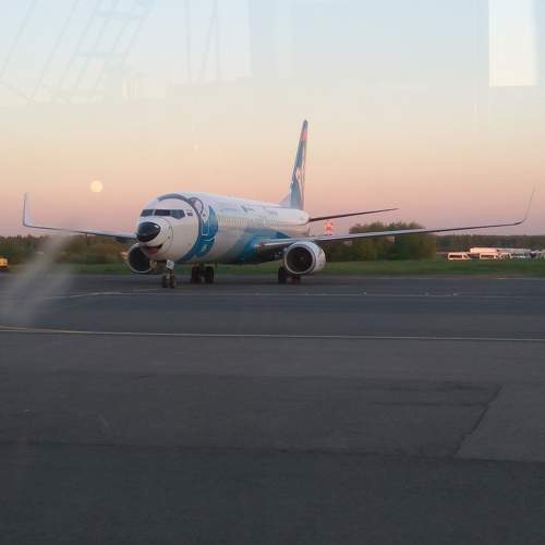 Photo #10398930
