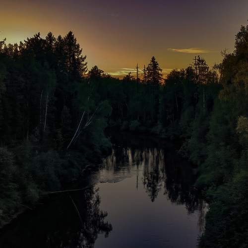 Photo #10399157