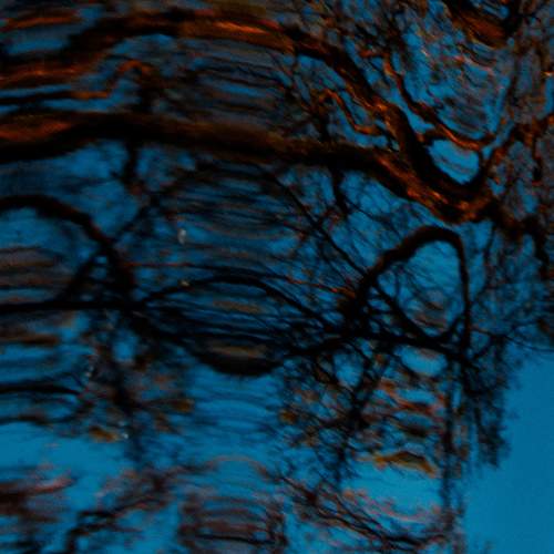 Photo #10399245