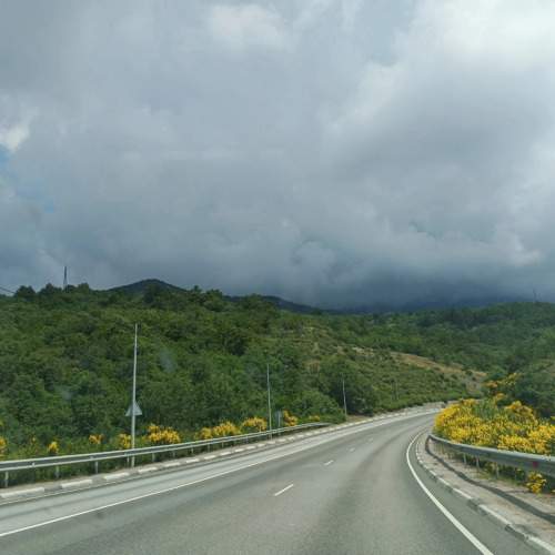 Photo #10399538