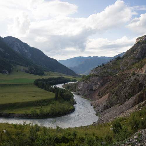 Photo #10399540