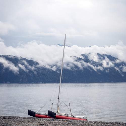 Photo #10399558