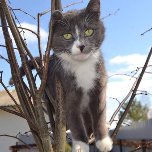 Photo #10399563
