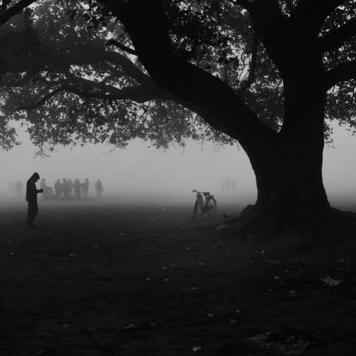 A foggy winter morning