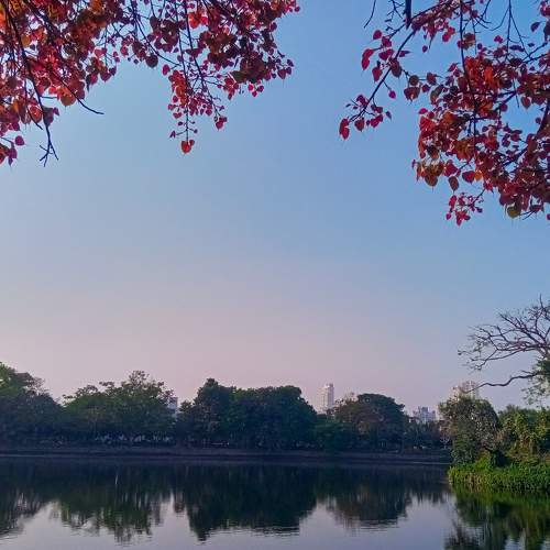 Photo #10399706