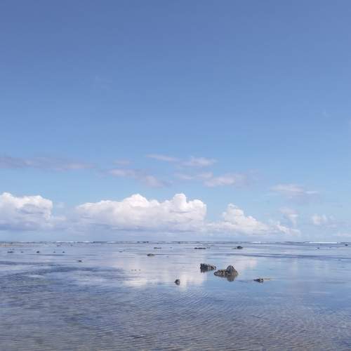 Photo #10399713