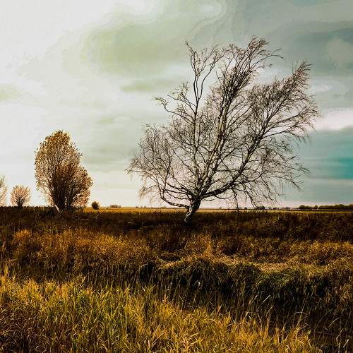 Photo #10399956