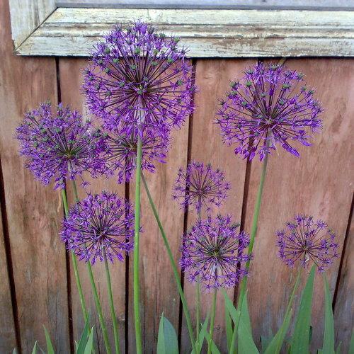 Photo #1041673