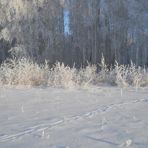 Photo #1044093