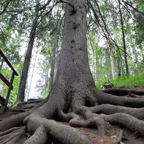 Photo #10400153
