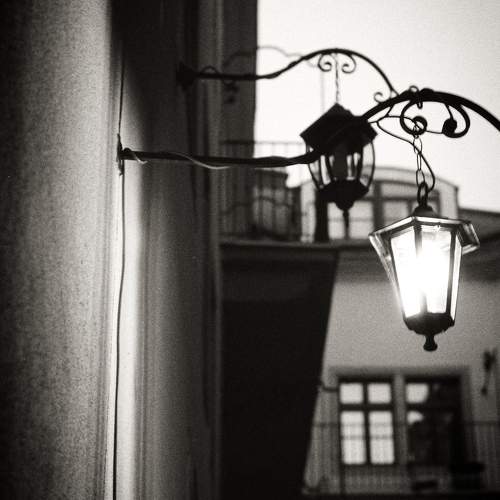 Photo #10400187