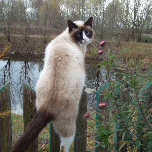 Photo #10400222