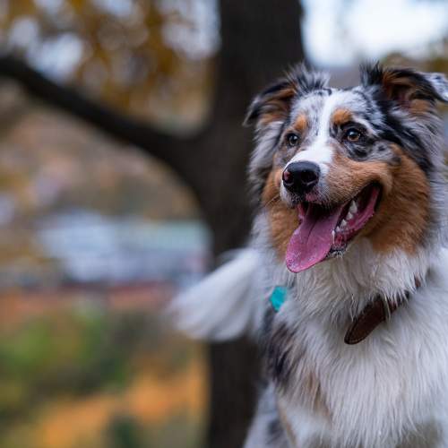 Photo #10400302