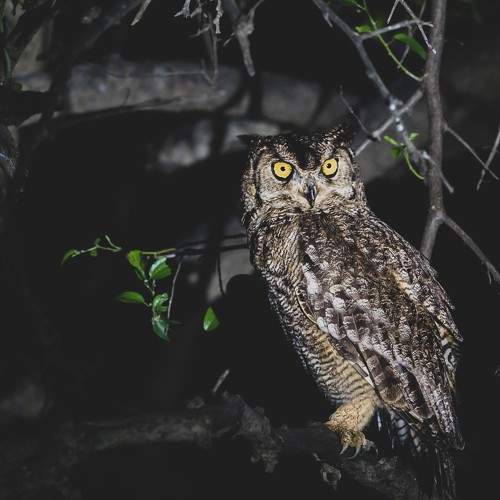Photo #10400427