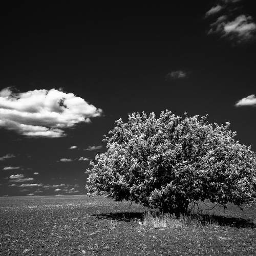 Фотография #10400461