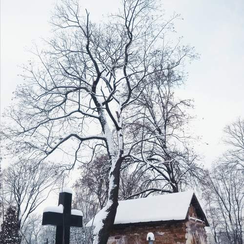 Photo #10400594