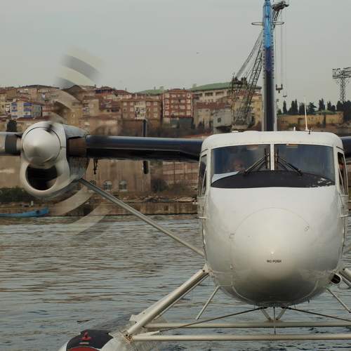 Photo #10400932
