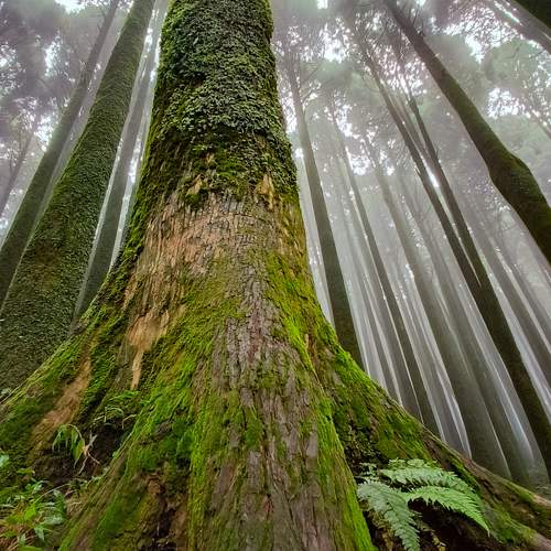 Photo #10401366
