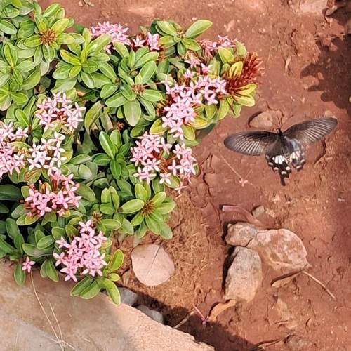 Photo #10401574