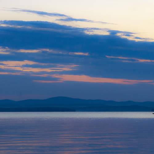 Photo #10401583