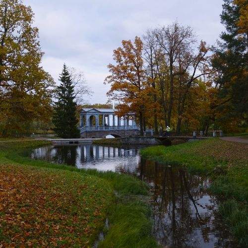Photo #10401864