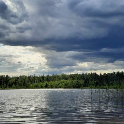 Photo #10401932