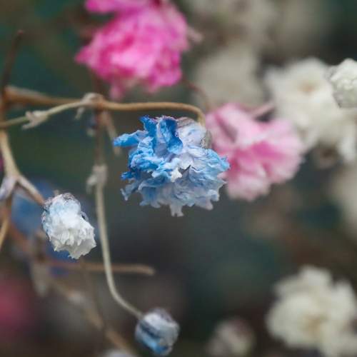 Photo #10402208
