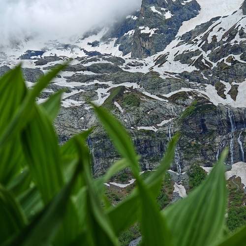 Photo #10402223