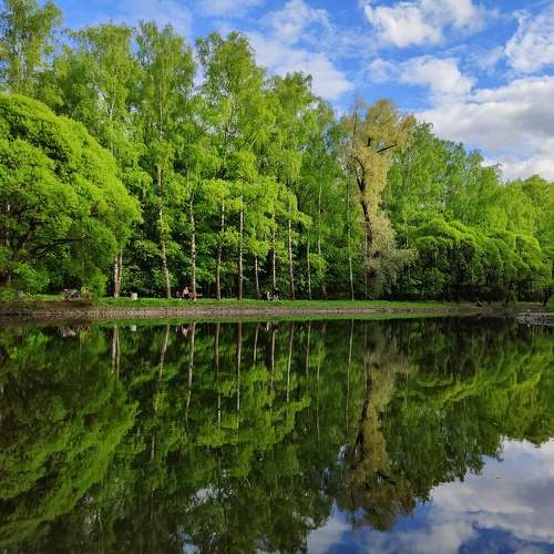 Photo #10402251