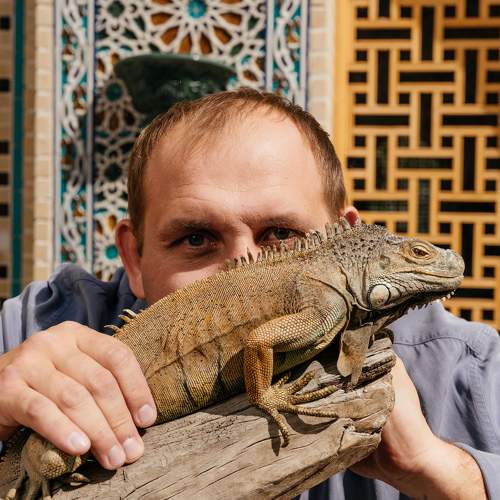 Photo #10402261