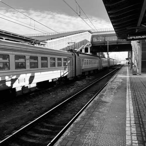 Photo #10402785