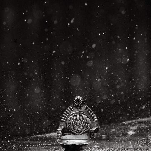 Photo #10402799