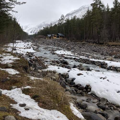 Photo #10402904