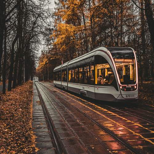 Фотография #10403790