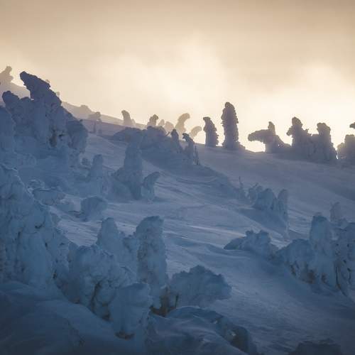 Photo #10403806