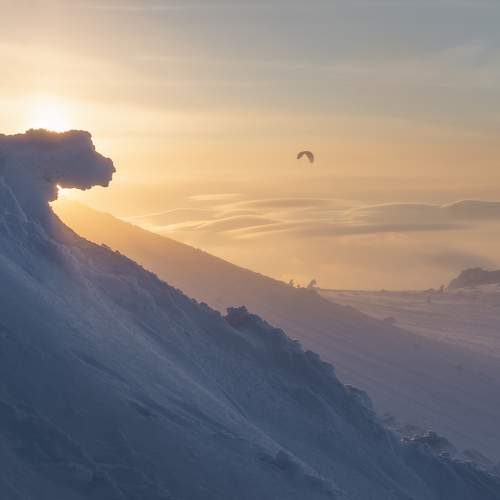 Photo #10403817