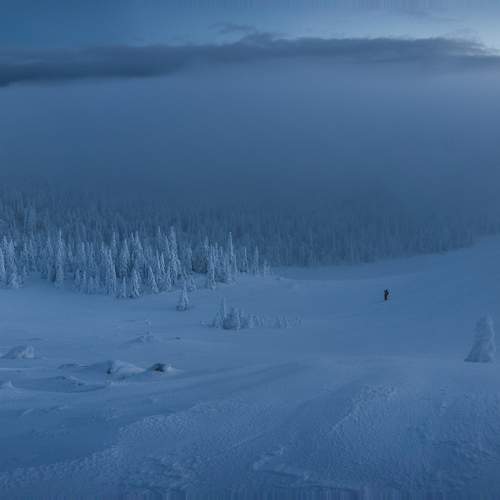 Photo #10403843
