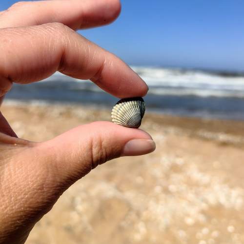 Photo #10403932