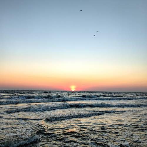 Photo #10403976