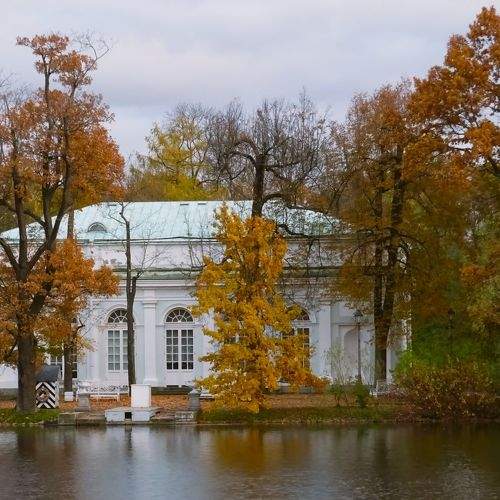 Photo #10404129
