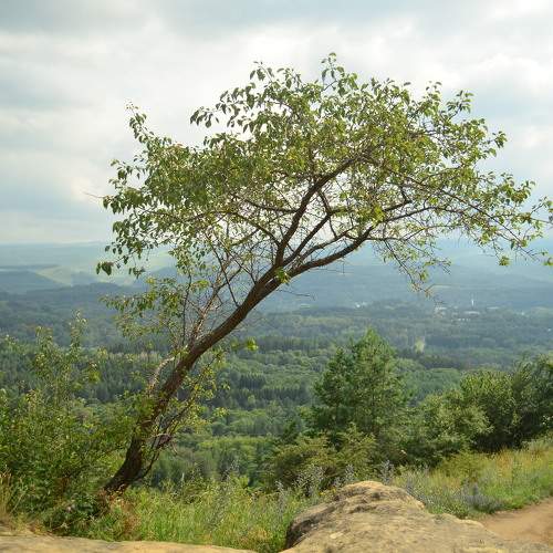 Photo #10404225